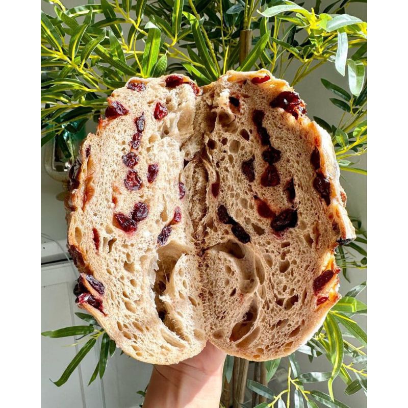 

Roti Sourdough CRANBERRY Tanpa Gula, Susu Dan Telur/WHOLEWHEAT BREAD/Vegan Sourdough | No Milk, No Egg, No Sugar BY SOURDOUGH BDL