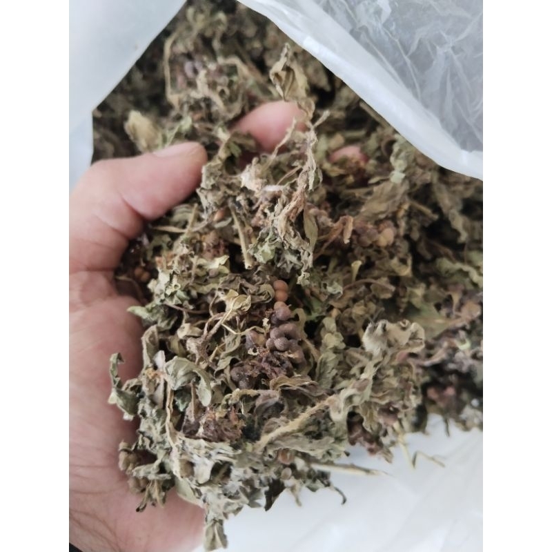 

teh daun sena kate mas patik mas kering 250gram