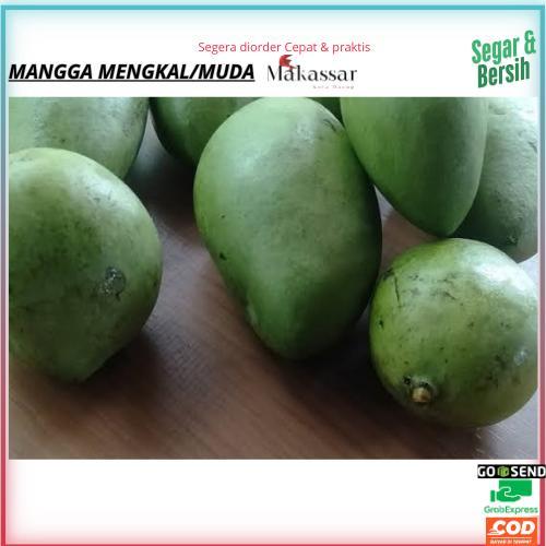 

Mangga Muda(isi 1-5 biji Tergantung ukuran Yang Ready) Pasar Terong Dan Pasar Induk Pannampu,mangga muda segar,mangga muarh,buah segar,sayur segar,sayur makassar,buah makassar,mangga ecer,mangga grosir,mangga rujak,pasar makassar