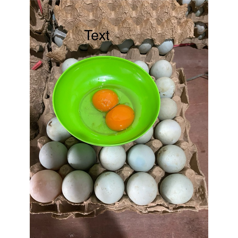 

Telor Bebek