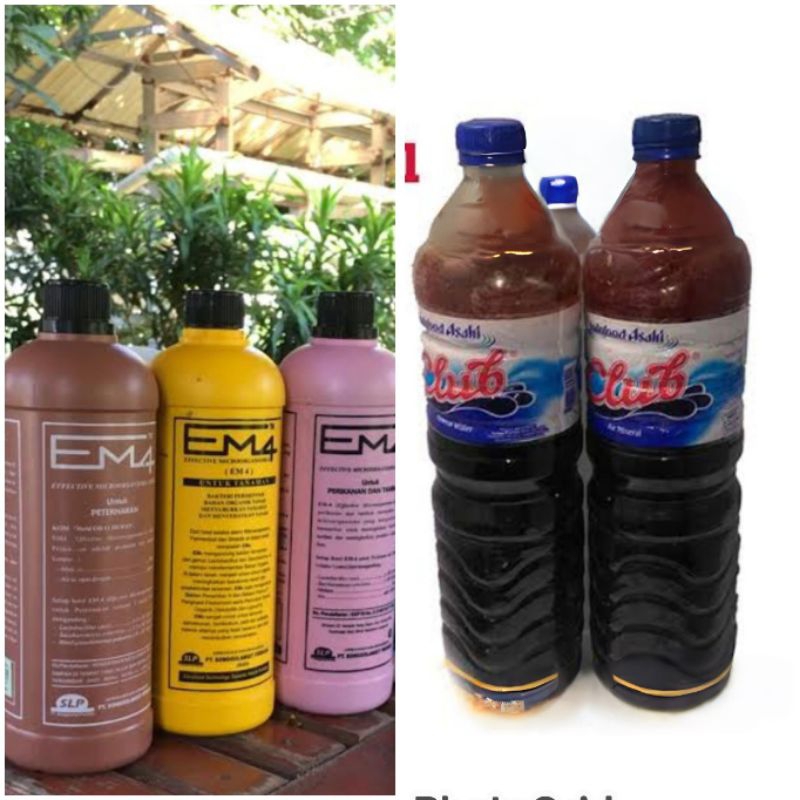 Em4 plus molase murni untuk hewan dan pertanian em 4 plus molase 1 kg