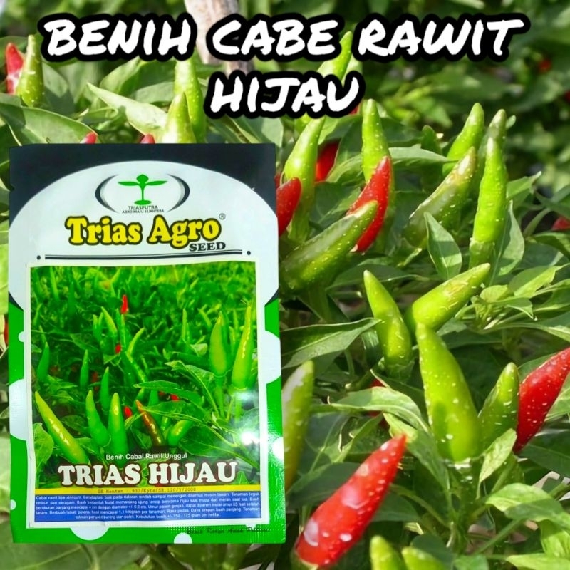 Benih Bibit Cabe Rawit Hijau Tegak Cungak Pedas Unggul TRIAS HIJAU 10 gram