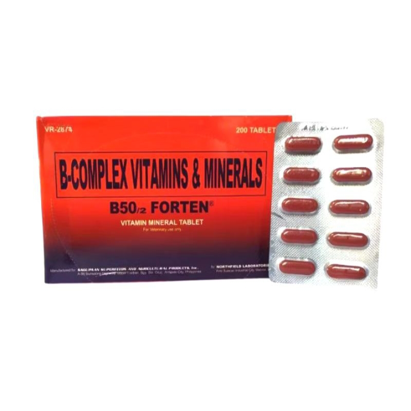 VITAMIN B50 FORTEN B-COMPLEX VITAMIN & MINERAL AYAM 10 KAPSUL