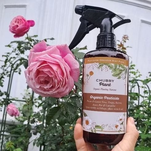 chubby plant pupuk cair organik insektisida pestisida tanaman mawar hias bunga fungisida pohon
