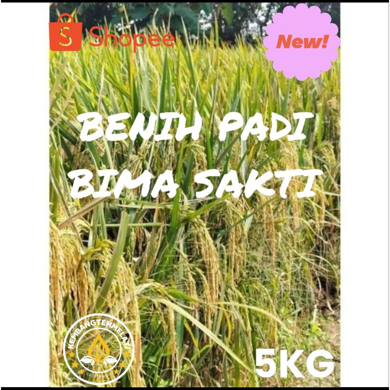 BIBIT PADI BENIH PADI BIMA SAKTI KEMASAN 5KG