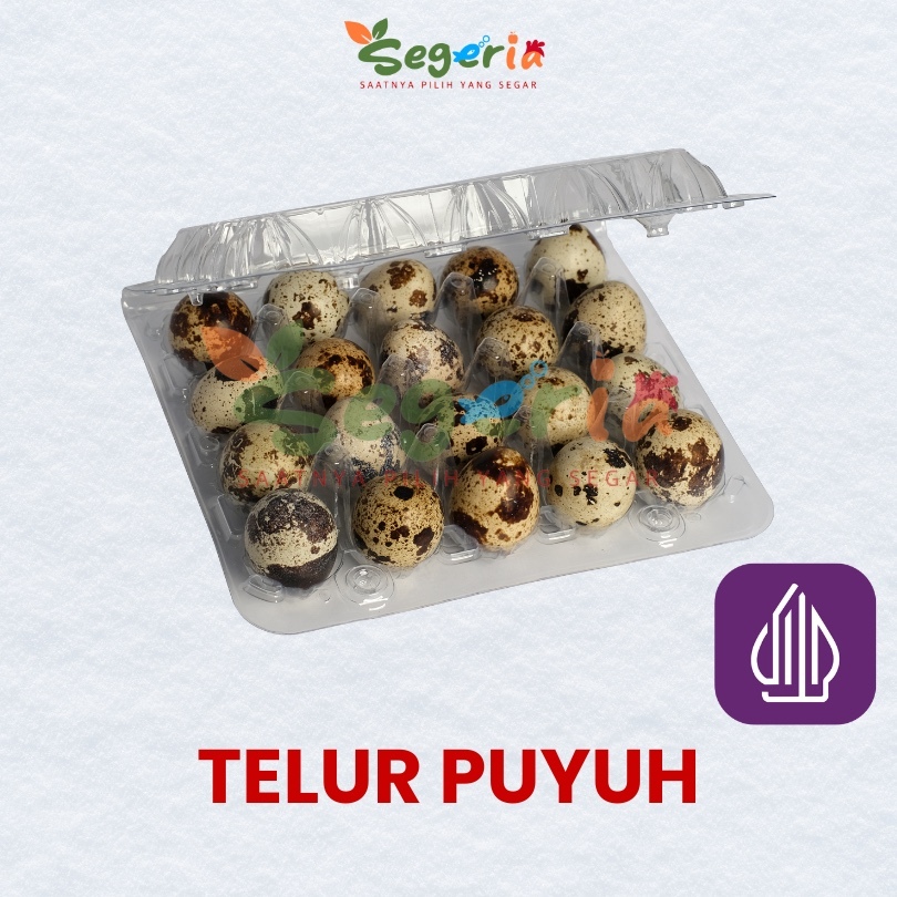 

TELUR PUYUH
