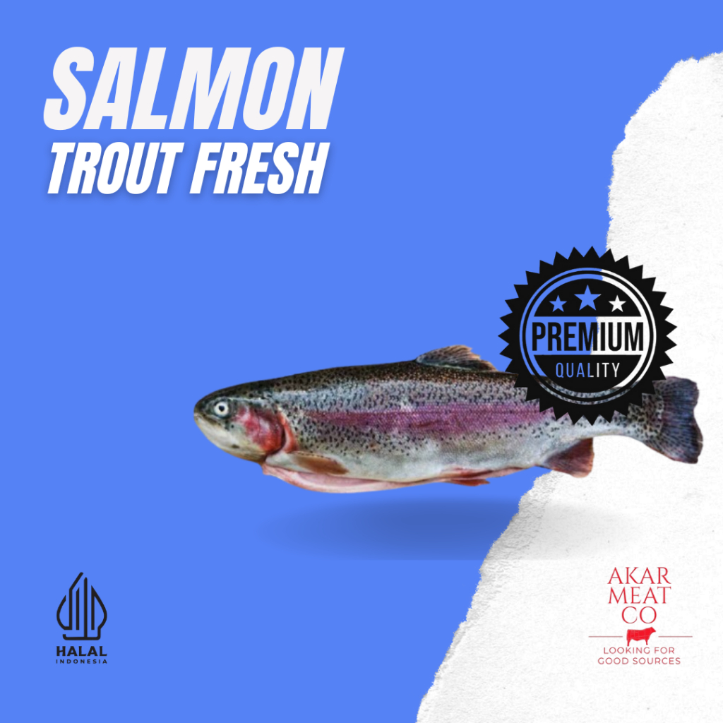 

SALMON TROUT FRESH