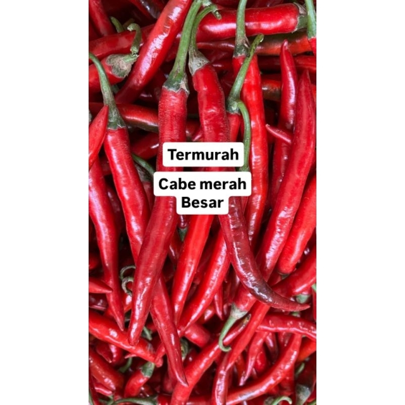 

cabe merah besar 1000g