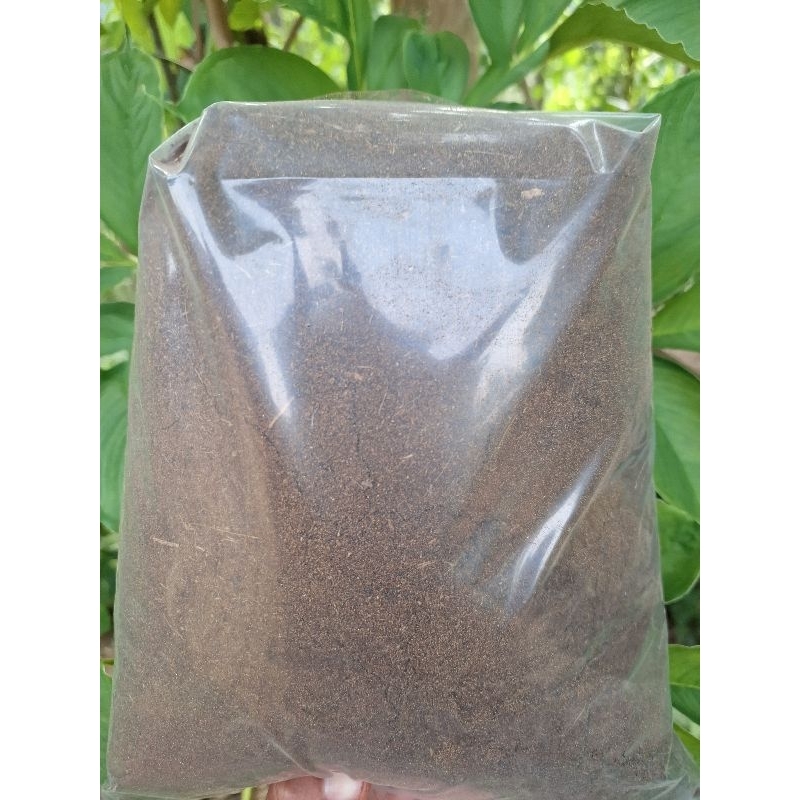 Kompos pupuk kohe kambing fermentasi