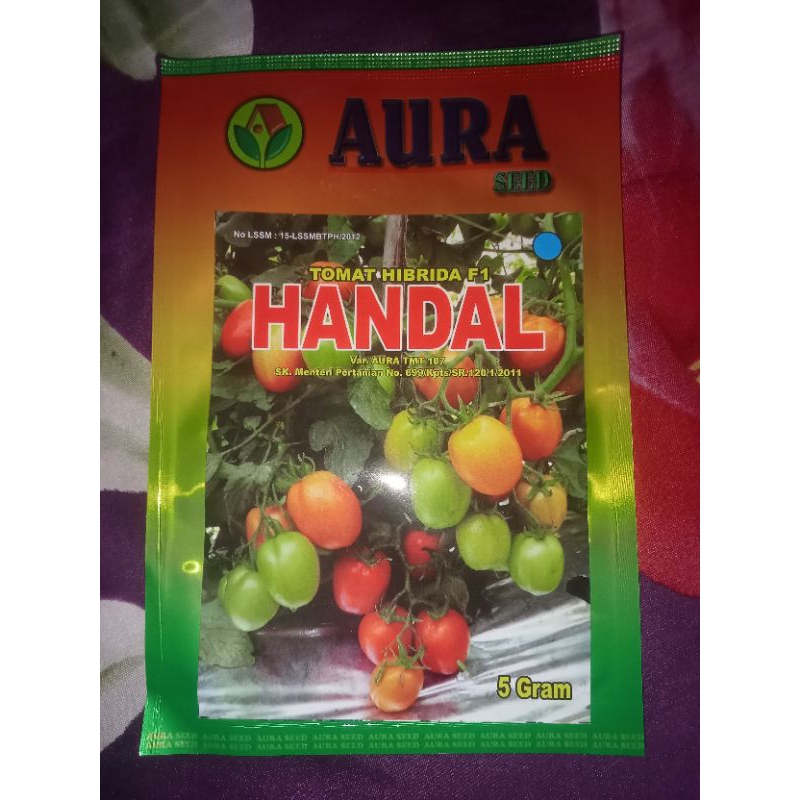 

Tomat Handal F1