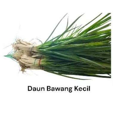 

INSTAN - DAUN BAWANG KECIL 250gram