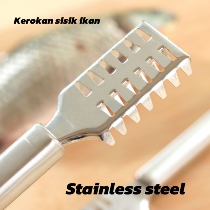 Kerokan Sisik Ikan Pembersih Sisik Ikan Stainless Steel 17 Cm