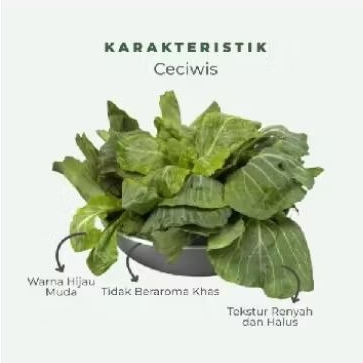

INSTAN - CECIWIS / CUCIWIS / KECIWIS 500GRAM