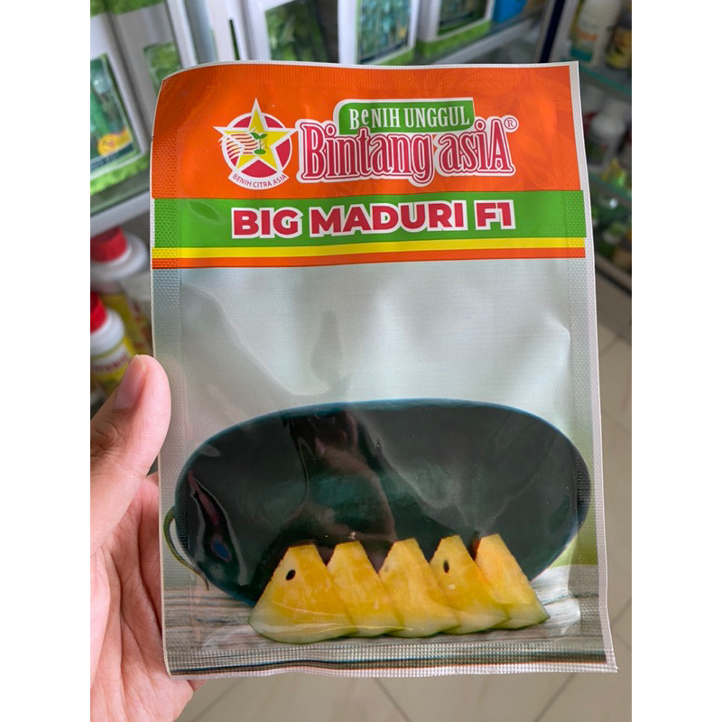 Benih Semangka BIG MADURI F1 (100% ORIGINAL) 20g