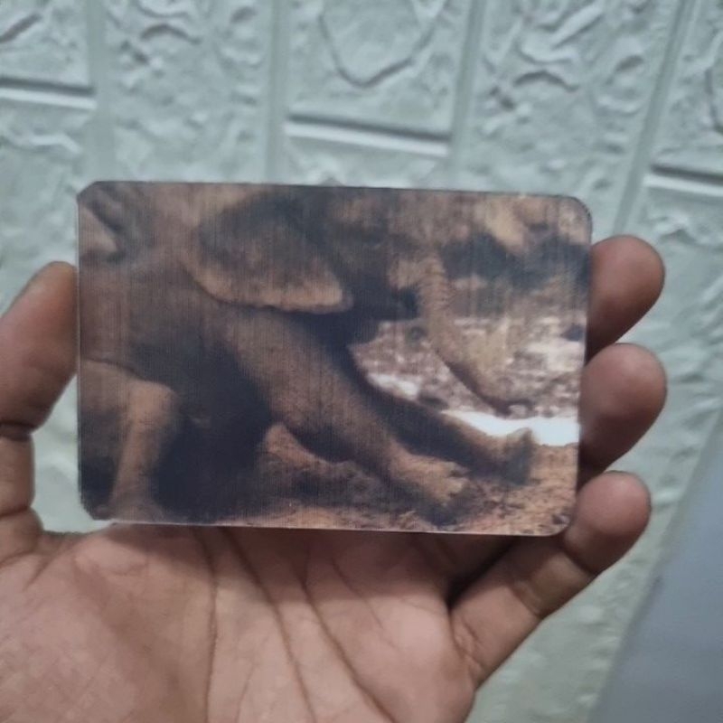 

3D Postcard Gajah