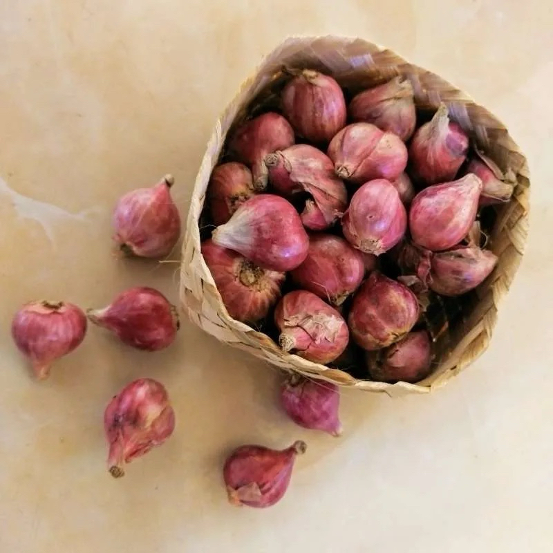 

Bawang merah sedang besar 1kg