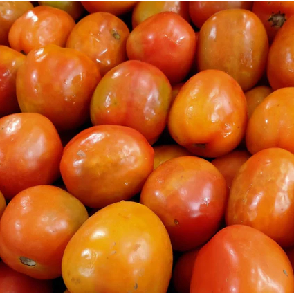 

Tomat Merah Super (Tomat Buah / Tomat Jumbo)