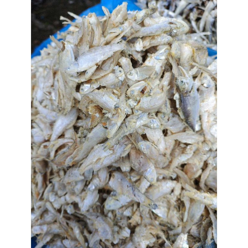 

Ikan Sepo Kasai Ikan Campur