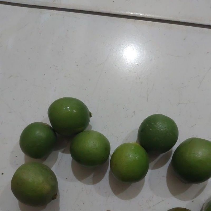 

jeruk nipis 1kg