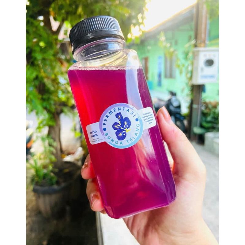 

MINUMAN TELANG PREMIUM FERMENTASI | BUTTERFLY PEA TEA 250ML