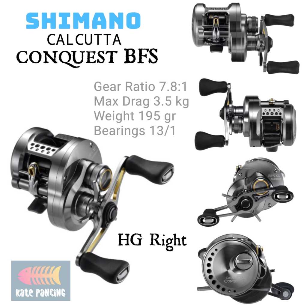 Reel Shimano CALCUTTA CONQUEST BFS 2023 (HG Right) - Original Shimano Reel Baitcasting