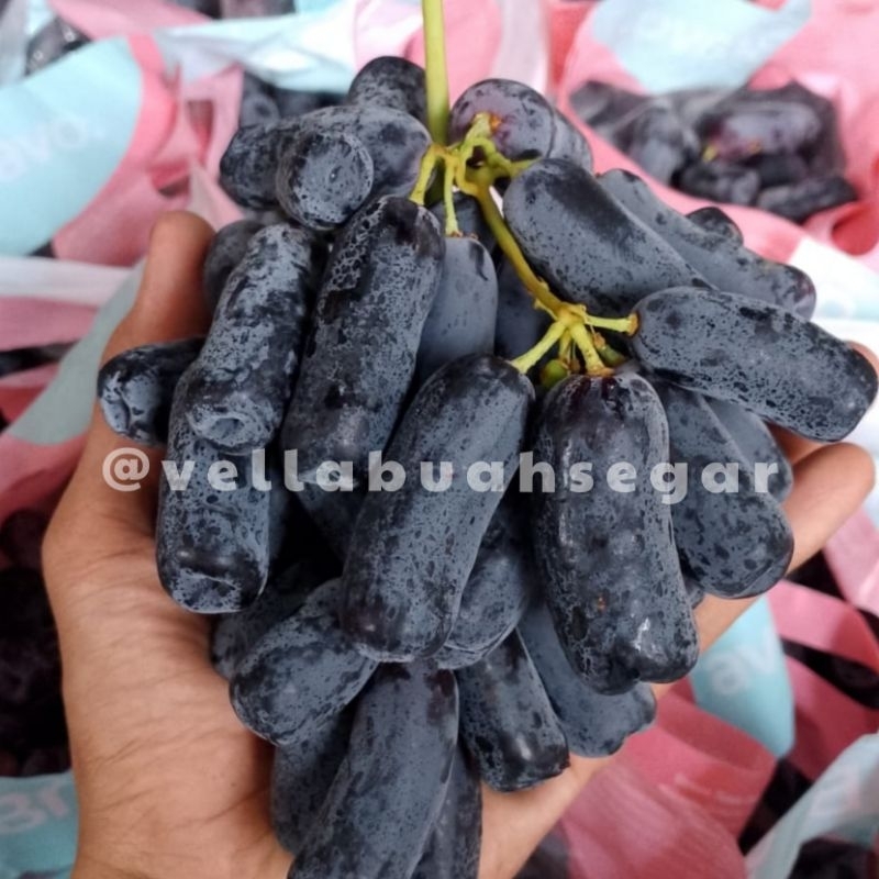 

[ANGGUR JARI MANIS ENDUL KIRIM INSTAN/SAMEDAY] RESTOCKK SERBU Anggur Sweet Saphire Anggur Moondrop Non Biji Manis 1kg