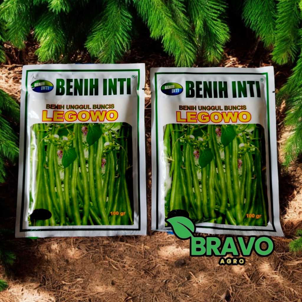 BENIH UNGGUL BUNCIS LEGOWO 100 GRAM - BENIH INTI 100% ORIGINAL