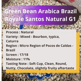 

Kopi Green Bean Arabica Brazil Royale Santos Natural G1 200Gram kopi mentah
