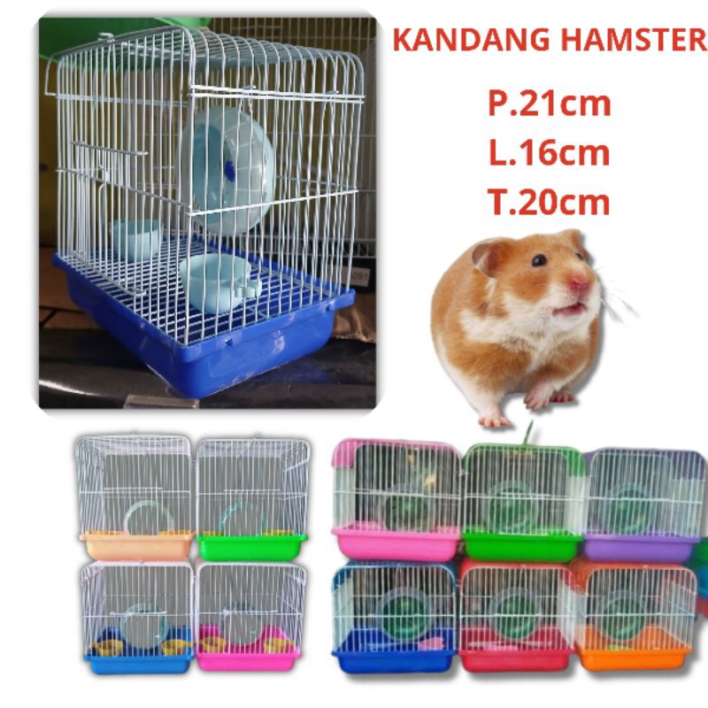 Kandang marmut Kandang Hamster Unik Dan Lucu