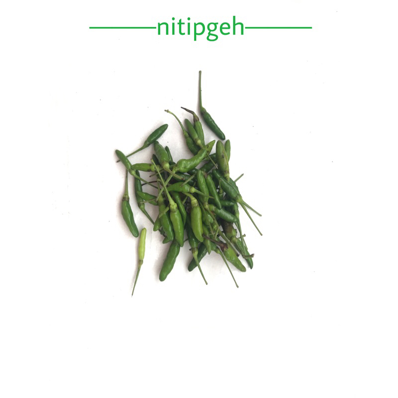 

nitipgeh Cabai Rawit 100g