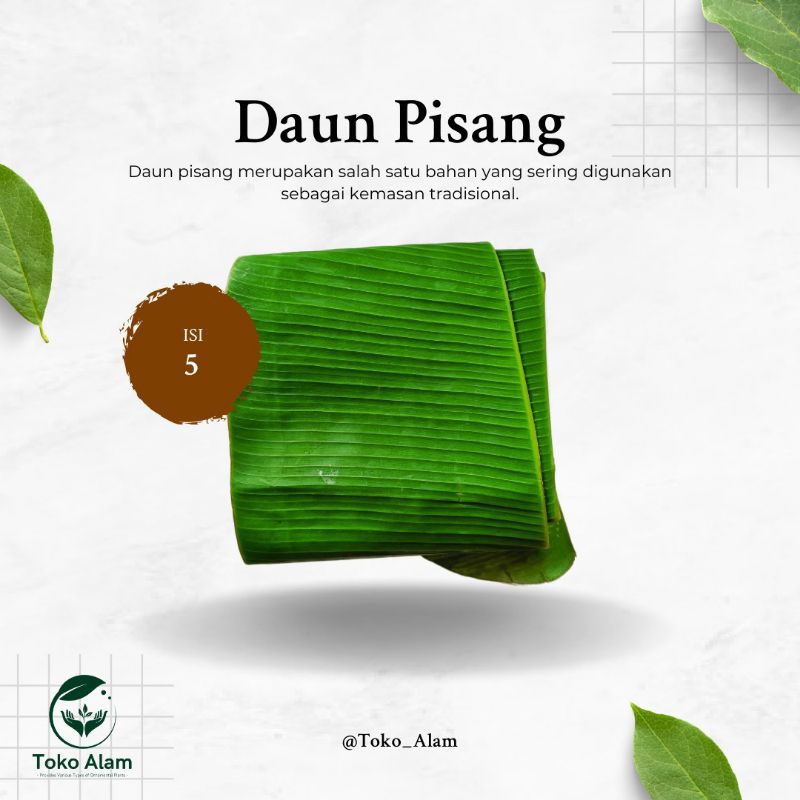 

Daun Pisang 5 Lembar