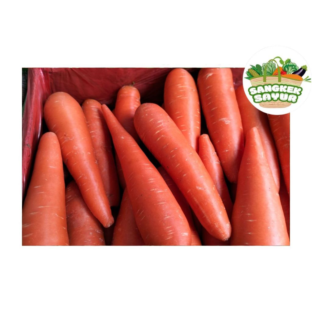 

Wortel Berastagi Segar 100Gram - sangkek.sayur PALEMBANG