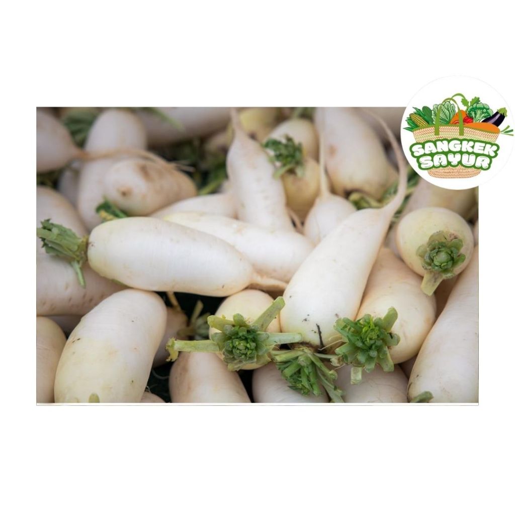 

Lobak 250Gram - sangkek.sayur PALEMBANG