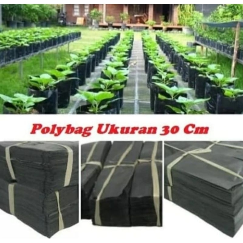 Polibag tanaman UK 30x30 cm isi 20 lembar