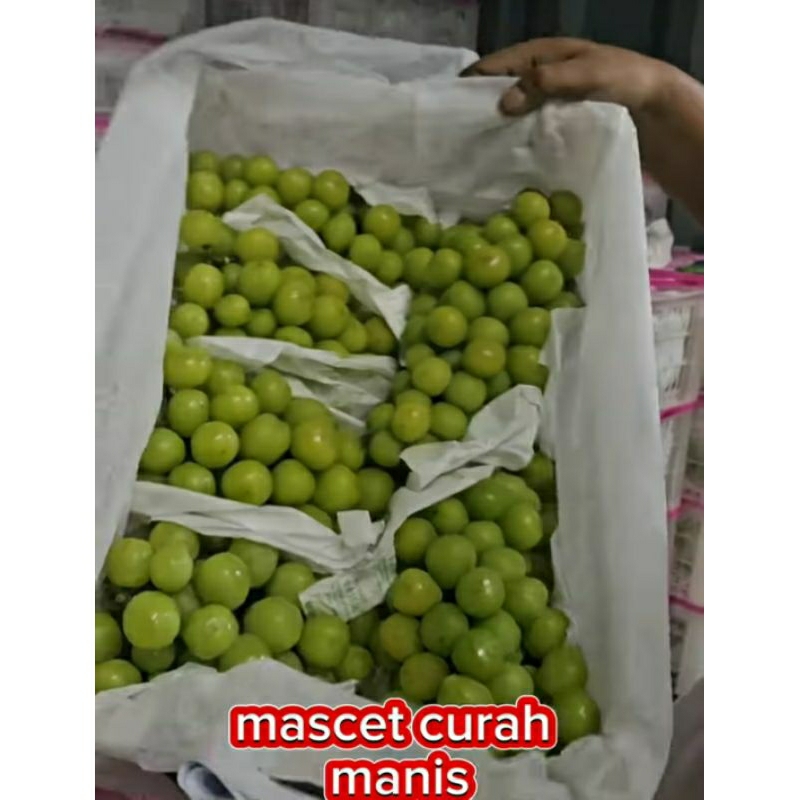 

anggur mascet 5kg keranjang