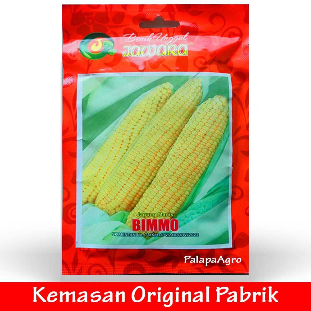 jagung manis - bibit jagung manis bimmo 50gram - benih jagung manis super unggul