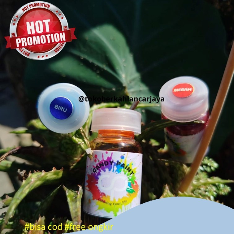 

(OLES) 12,5 ML CANDY PAINT CAT KACA PERMANEN CAT AKRILIK SERBAGUNA