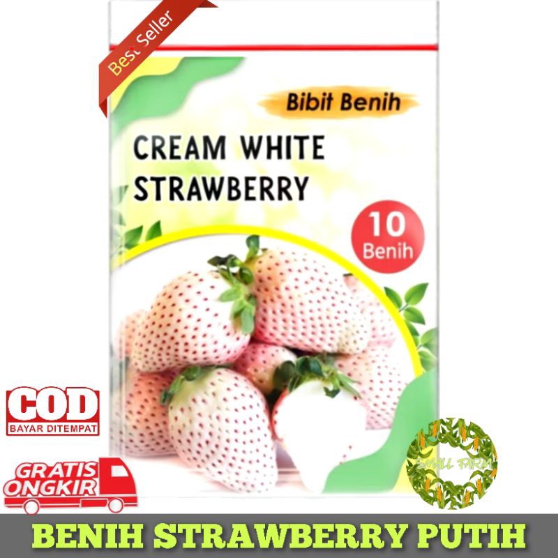 Benih Strawberry Putih isi 10 Benih