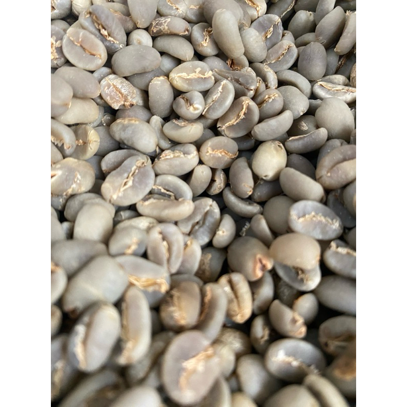 

Greenbean arabika toraja fullwash 30kg