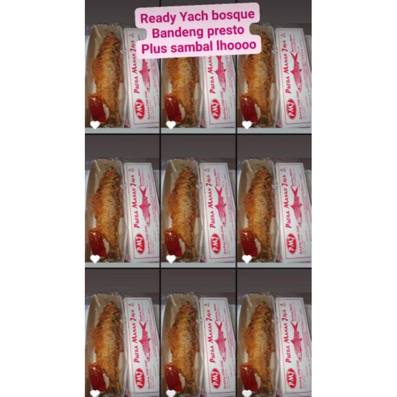 

[COD]Bandeng Presto duri lunak by Putra Manan Jaya || Khas Gresik || free sambal
