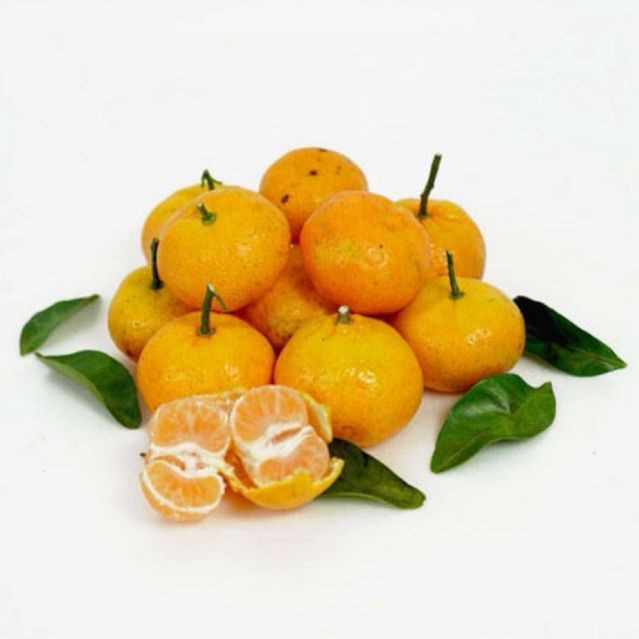 

Jeruk santang premium