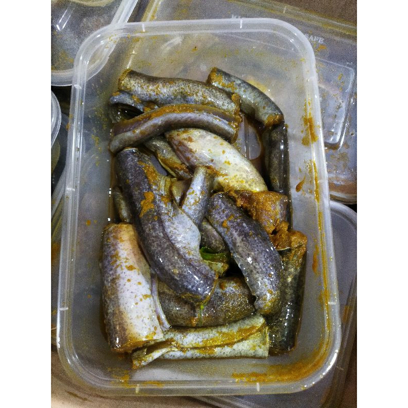 

Belut marinasi