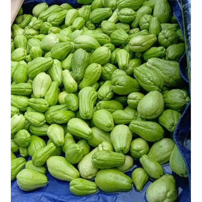 

LABU SIAM FRESS 500gr