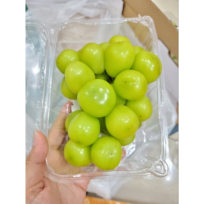 

Shine Muscat Grape Manis Anggur Muscat