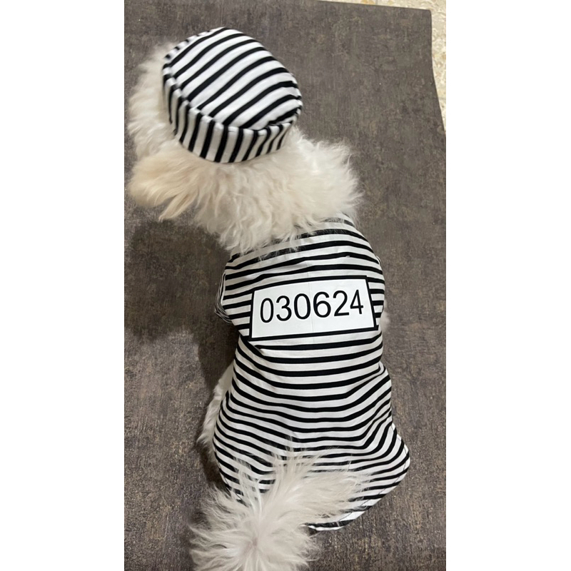 Baju tahanan lucu untuk anjing baju prisoner anabul penjara