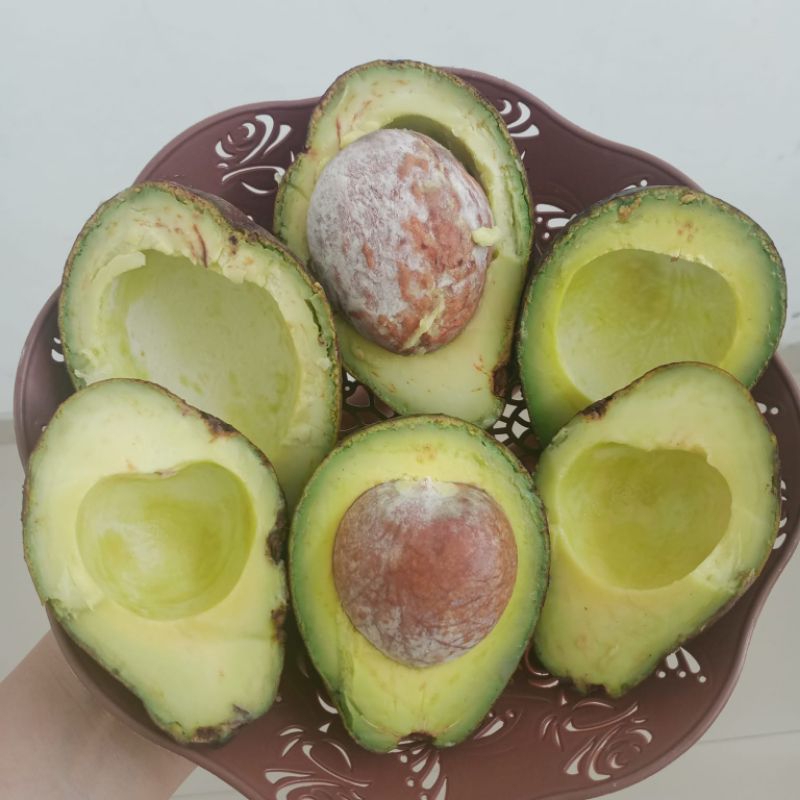 

ALPUKAT MENTEGA BESAR 1KG