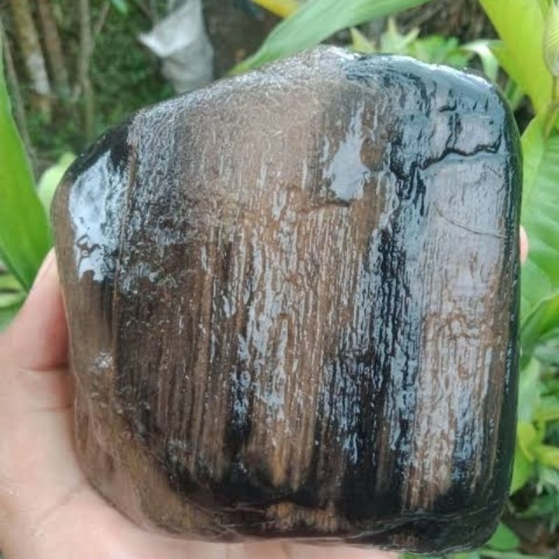 batu fosil kayu hitam batu aquascape aquarium batu taman isi 10kg