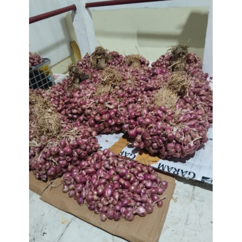 

Bawang Merah