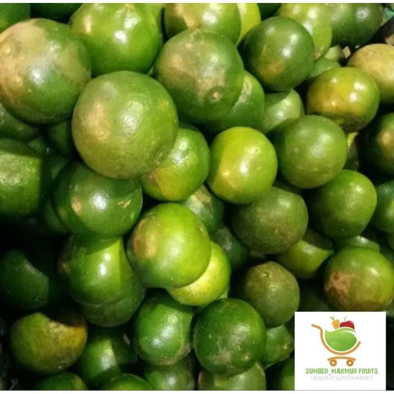 

Jeruk Peras Terlaris 500g