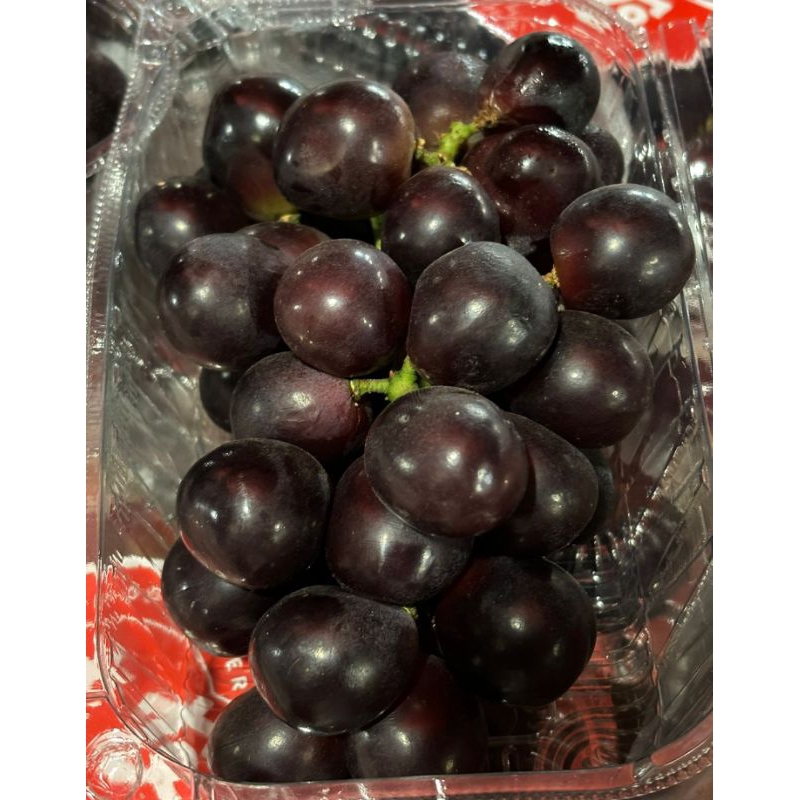 

Muscat Hitam | Black Muscat pack